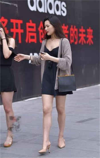 沈樵剧情全集