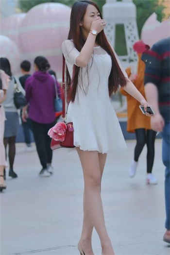 神奇宝贝之传奇训练家