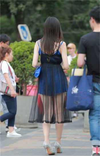 高书记和杨雨婷1一8章