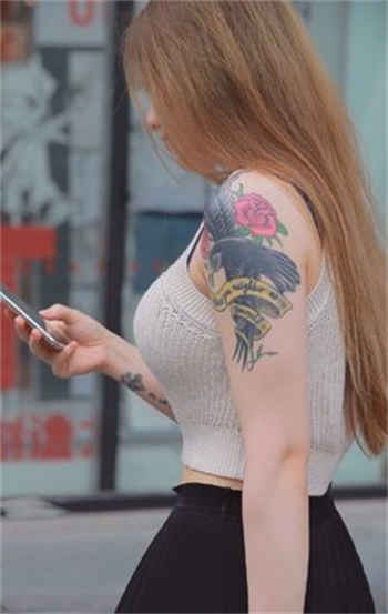 霍烟傅时寒苏棠