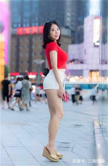 柠檬800导航