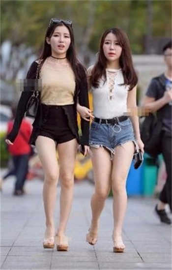 大象回家视频dx导航爱查